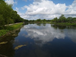 2011 - Brazos Bend State Park - Elm Lake